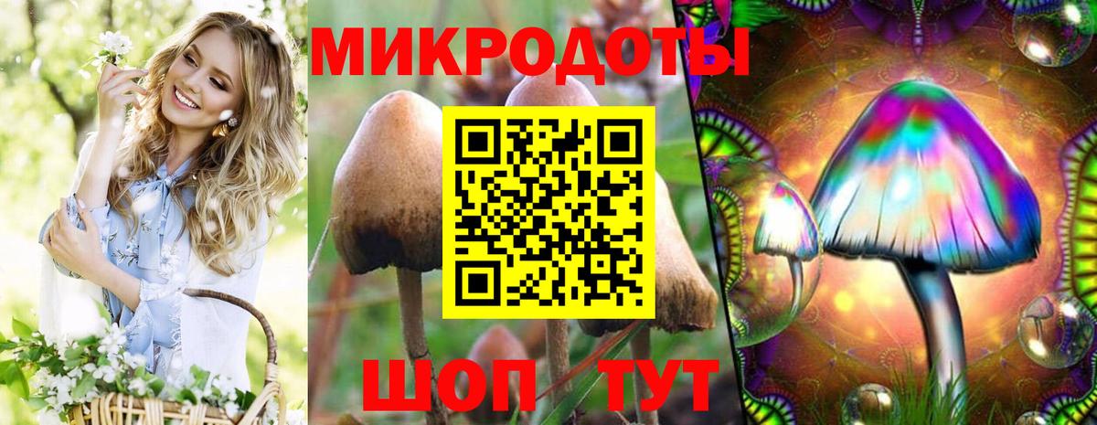 Псилоцибиновые грибы прущие грибы Луховицы