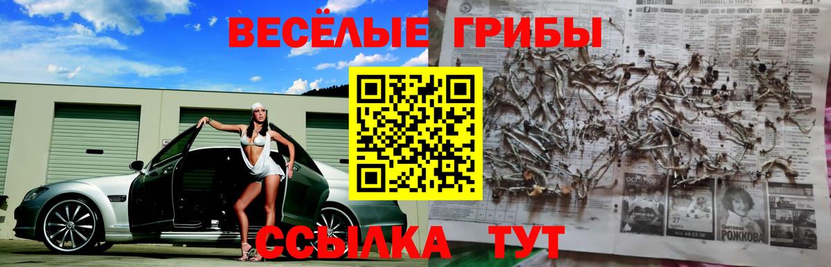 сколько стоит  Псилоцибиновые грибы Psilocybe  Вход с VPN  Луховицы 